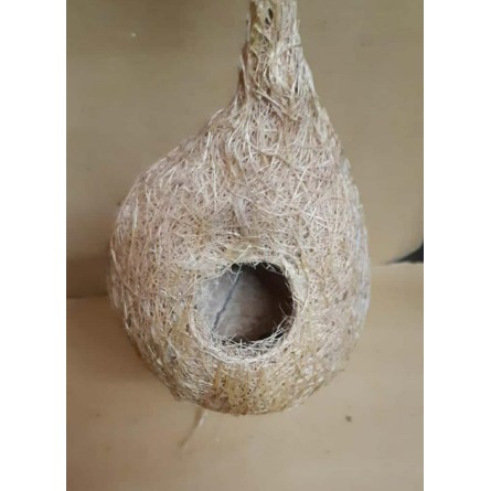 Bird Nest Coir Pot